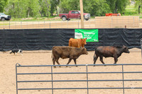 3C9A9856