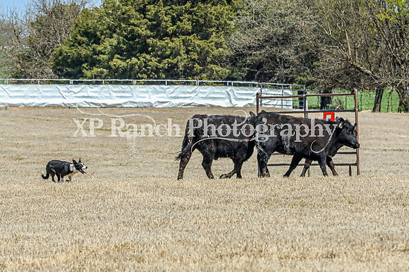 3C9A0008