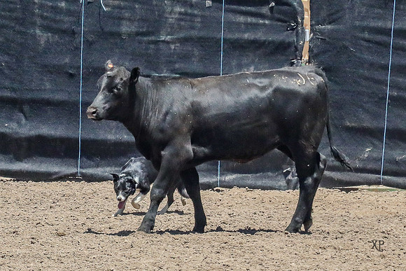 3C9A5879