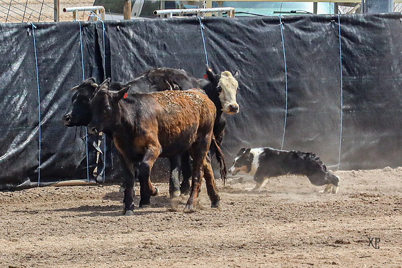 3C9A1528