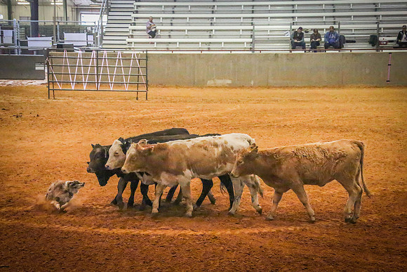 XP147743_1_2014