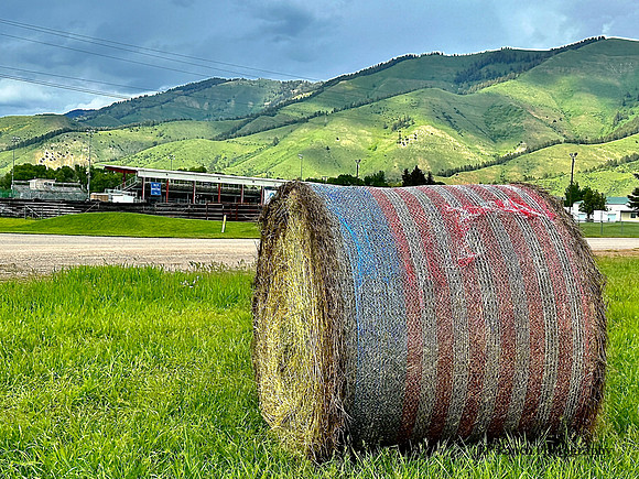 IMG_7585