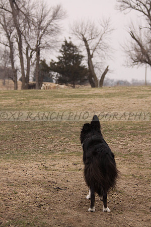 IMG_0072_51_2014