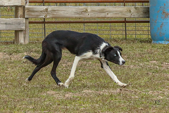 3C9A7563