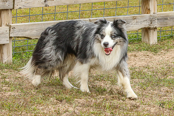 3C9A8263