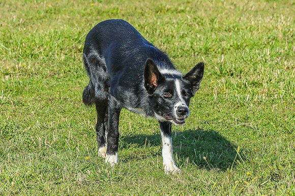 3C9A8507