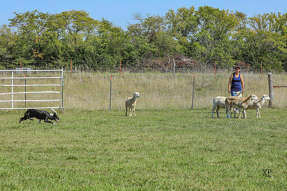 3C9A8578