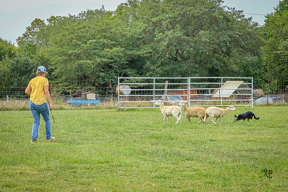 3C9A8917