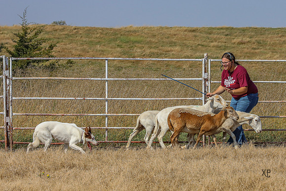 3C9A9011