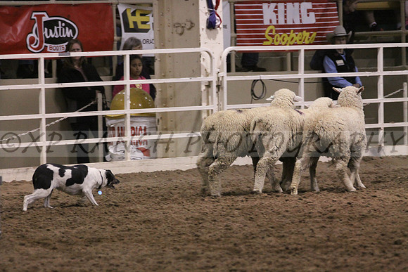 IMG_7490_34_2014