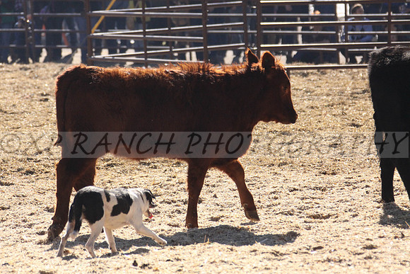 IMG_6977_41_2014