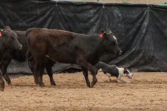 3C9A3974