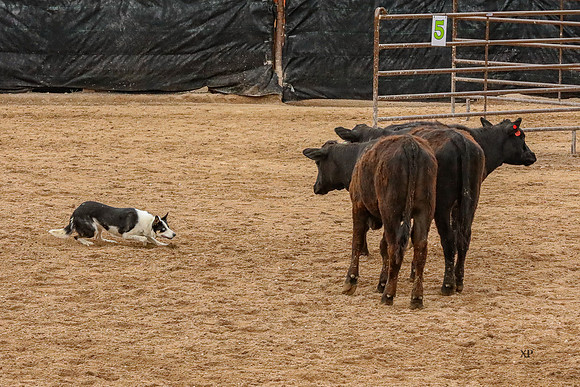 3C9A3907