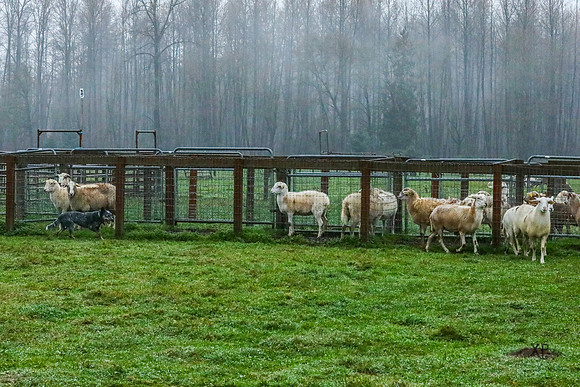 3C9A0380
