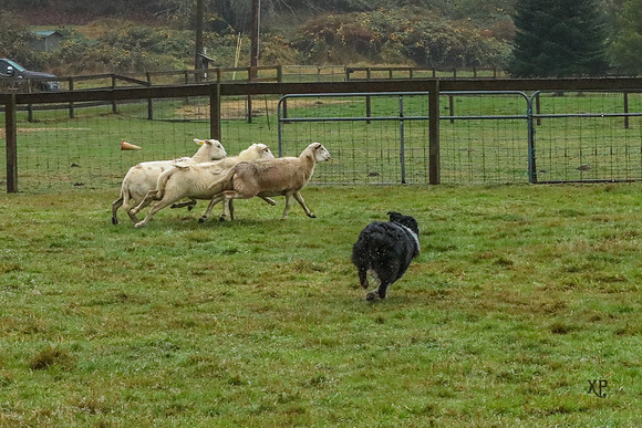 3C9A0260