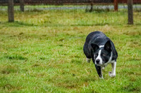 3C9A9998