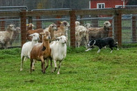 3C9A0025