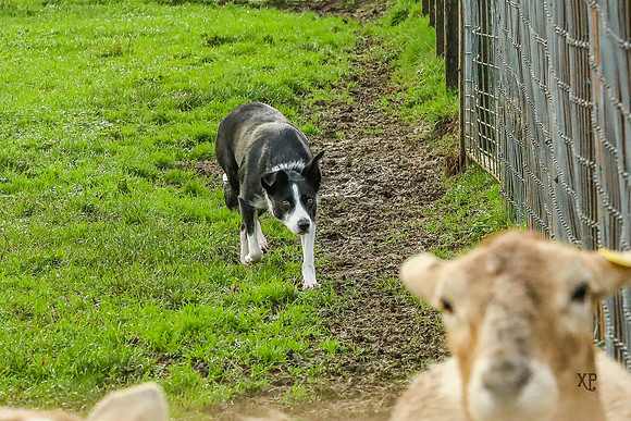 3C9A0617