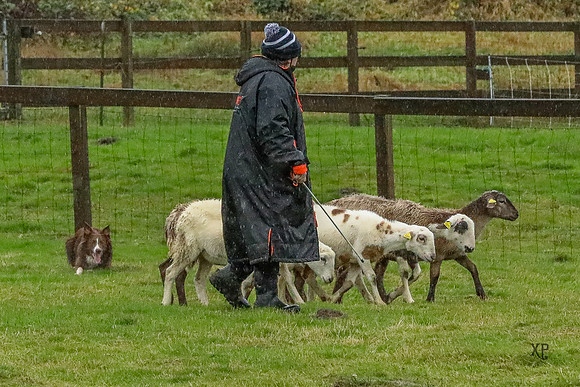 3C9A9892