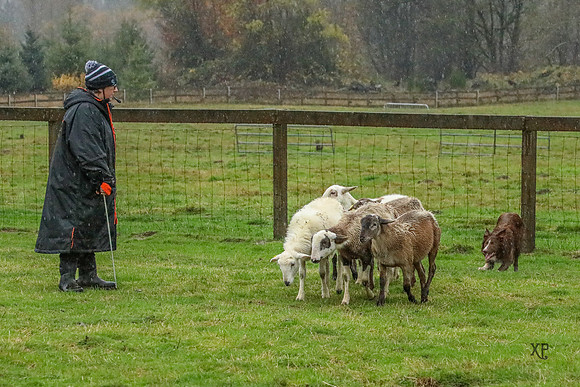 3C9A9968