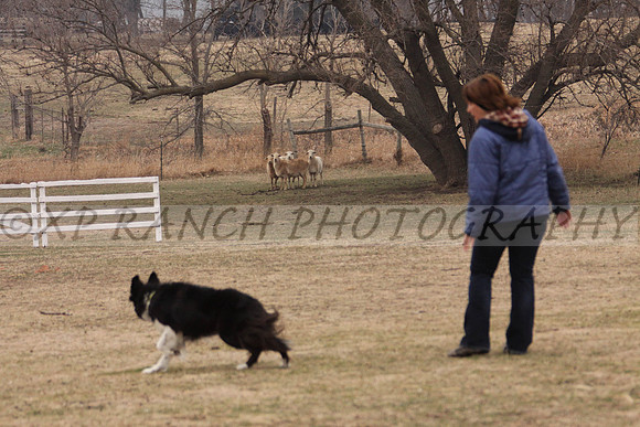 IMG_0030_9_2014