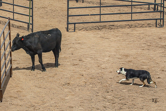 3C9A1609