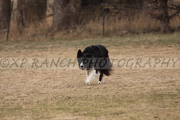 IMG_0053_32_2014
