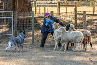 3C9A0883