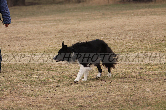IMG_0043_22_2014