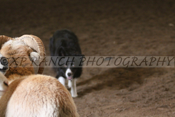 IMG_0652_78_2014