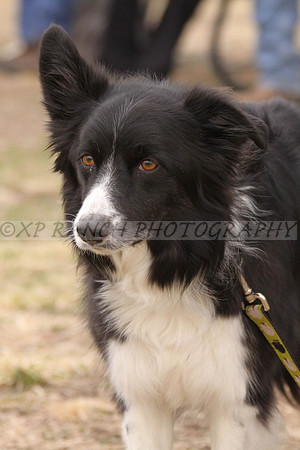 IMG_0023_2_2014