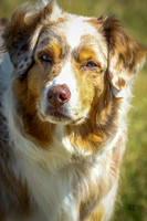 Athena