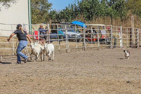 3C9A5769