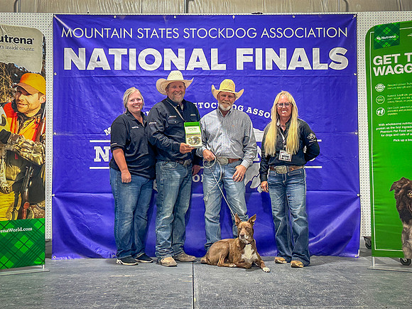 IMG_1993