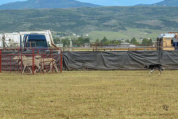 3C9A4877
