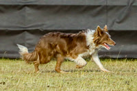 Kat Teufel/Duane Hayes and Lila