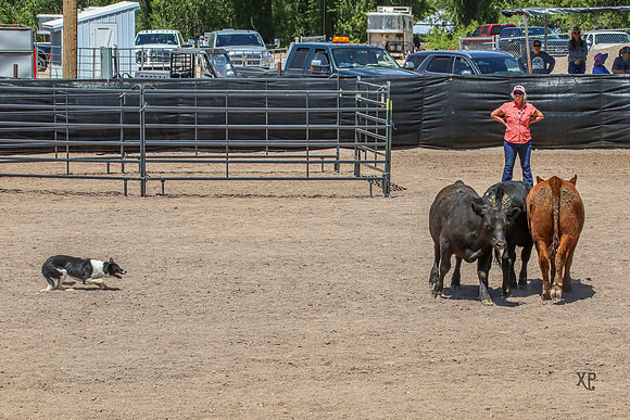 3C9A2500