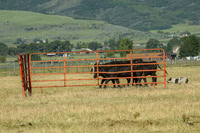 3C9A3793