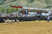 3C9A5364