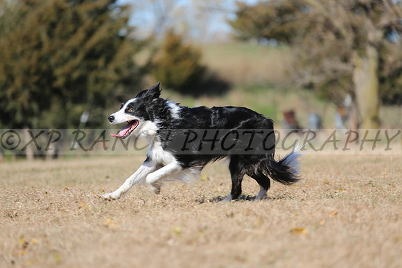 XP140582_106_2015
