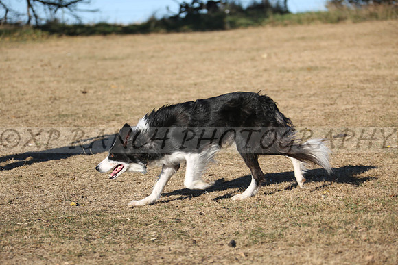 XP140795_196_2015