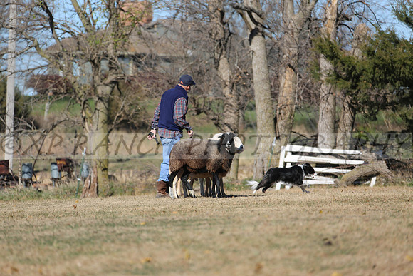 XP140553_77_2015