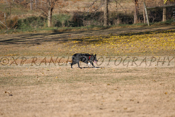 XP140436_39_2015