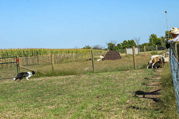 3C9A7373