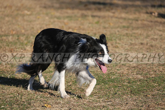 XP140836_237_2015