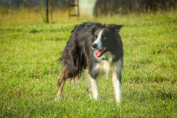 3C9A7677