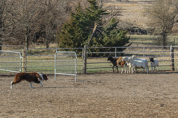 3C9A7561