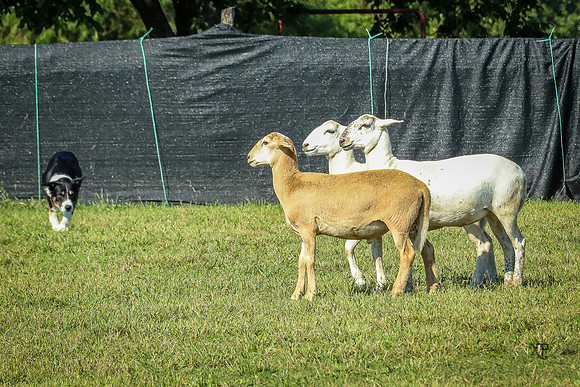3C9A7564