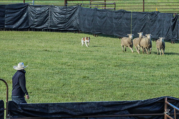 3C9A9458