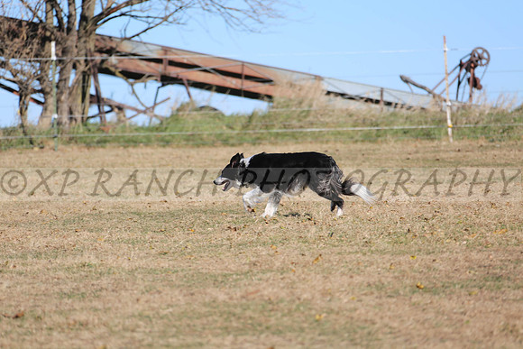 XP140550_74_2015